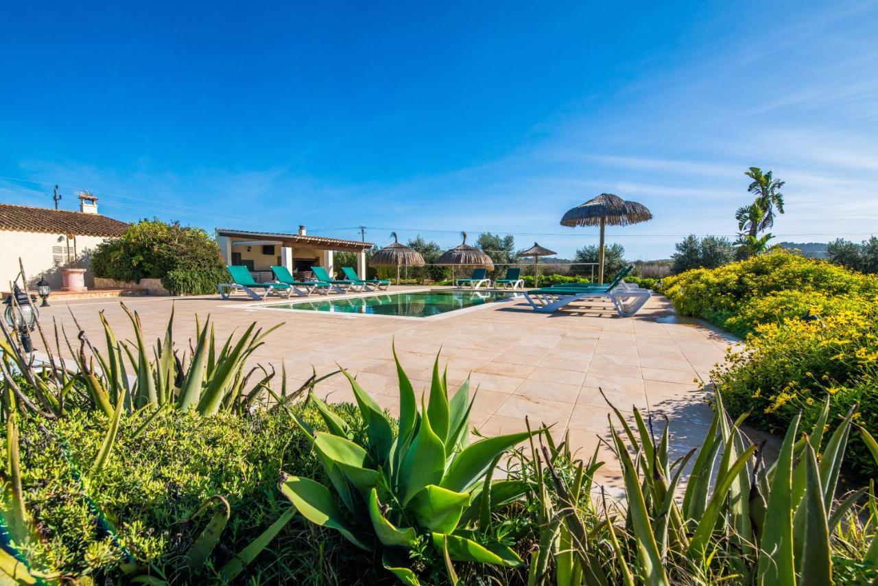 Finca Cas Padrins Manacor  Eksteriør billede